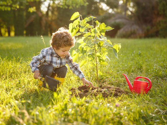 Kid taking care of tree in garden .